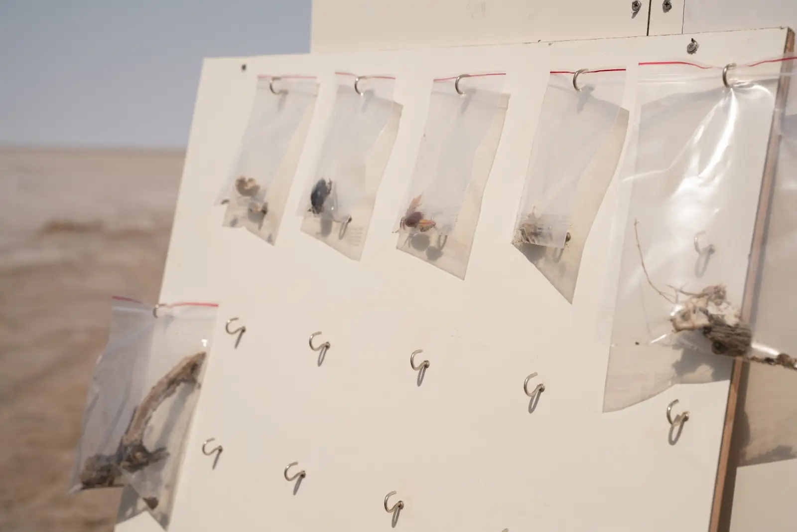 Lunar Analog image 42