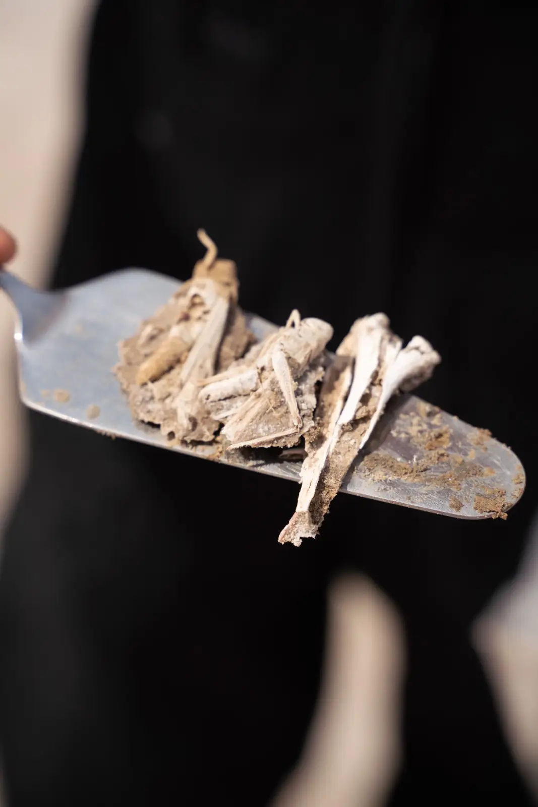 Lunar Analog image 43