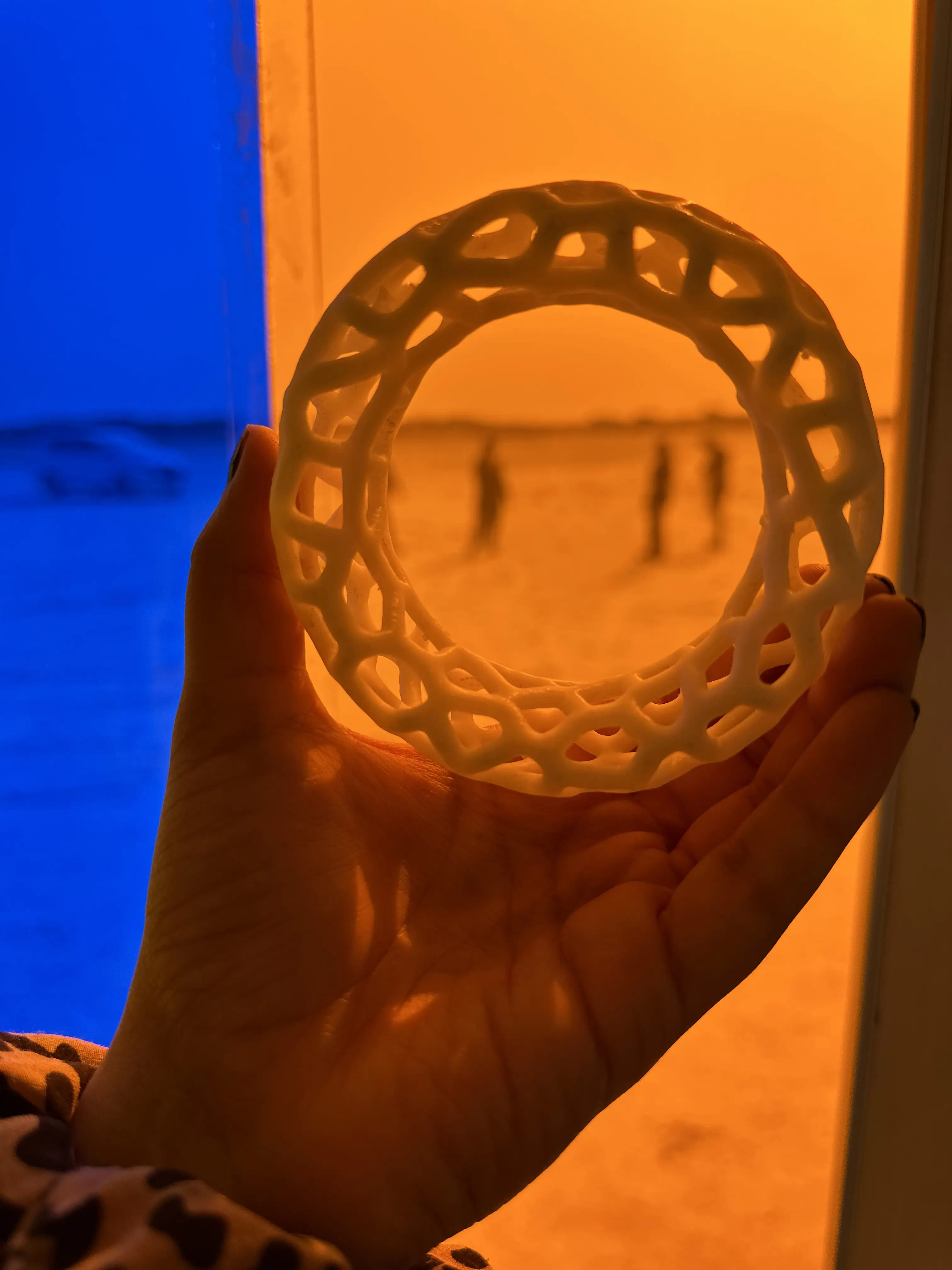 Lunar Analog image 8